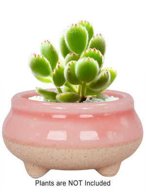  Mini Claw Foot Drip Glazed Ceramic Succulent Planter | Plant Pot Bonsai | Dahlia