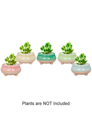  Mini Claw Foot Drip Glazed Ceramic Succulent Planter | Plant Pot Bonsai | Dahlia