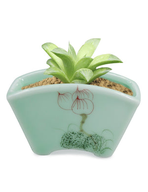 Celadon Glaze Lotus Hand Painted Porcelain Succulent Planter | Plant Pot Bonsai | Dahlia