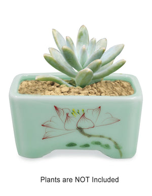  Celadon Glaze Lotus Hand Painted Porcelain Succulent Planter | Plant Pot Bonsai | Dahlia