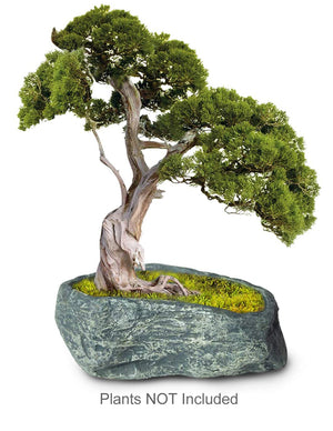  Stone Like Handmade Concrete Succulent Pot | Plant Pot Bonsai | Dahlia