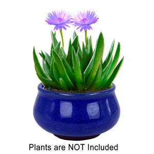  3.5 Inch Mini Crackle Glaze Ceramic Succulent Pot | Plant Pot Bonsai | Dahlia