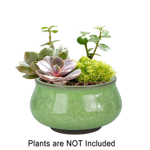  3.5 Inch Mini Crackle Glaze Ceramic Succulent Pot | Plant Pot Bonsai | Dahlia