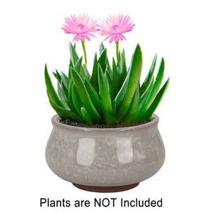  3.5 Inch Mini Crackle Glaze Ceramic Succulent Pot | Plant Pot Bonsai | Dahlia