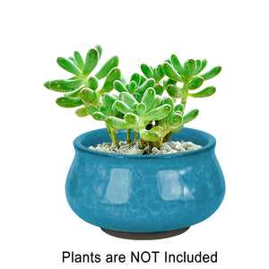  3.5 Inch Mini Crackle Glaze Ceramic Succulent Pot | Plant Pot Bonsai | Dahlia