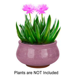  3.5 Inch Mini Crackle Glaze Ceramic Succulent Pot | Plant Pot Bonsai | Dahlia