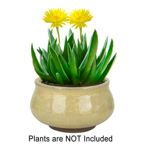  3.5 Inch Mini Crackle Glaze Ceramic Succulent Pot | Plant Pot Bonsai | Dahlia