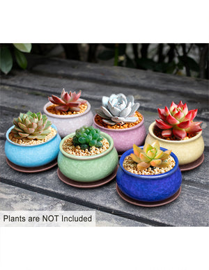  3.5 Inch Mini Crackle Glaze Ceramic Succulent Pot | Plant Pot Bonsai | Dahlia