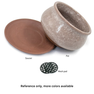  3.5 Inch Mini Crackle Glaze Ceramic Succulent Pot | Plant Pot Bonsai | Dahlia
