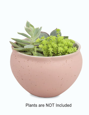  Speckle Pastel Ceramic Succulent Planter | Plant Pot | Dahlia