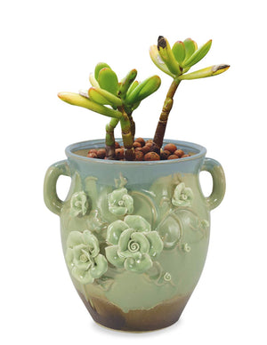  Tri Color Flower Ceramic Succulent Pot | Plant Pot Bonsai | Dahlia
