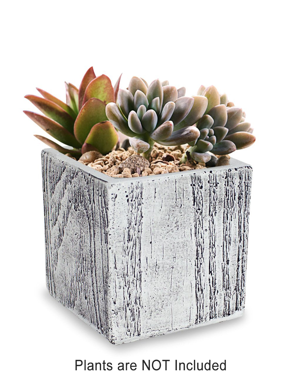 Wood Grain Like Concrete Succulent Planter | Plant Pot