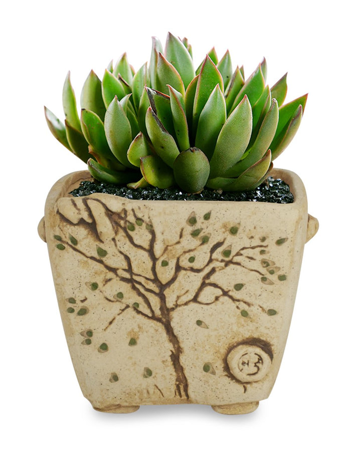 Vintage Hand Carved Ceramic Succulent Planter | Plant Pot | Dahlia