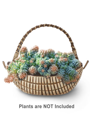  Textured Basket Ceramic Succulent Planter | Plant Pot | Dahlia