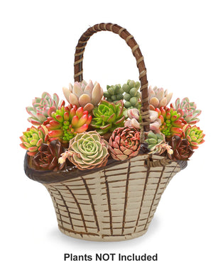  Textured Basket Ceramic Succulent Planter | Plant Pot | Dahlia