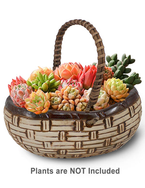  Textured Basket Ceramic Succulent Planter | Plant Pot | Dahlia