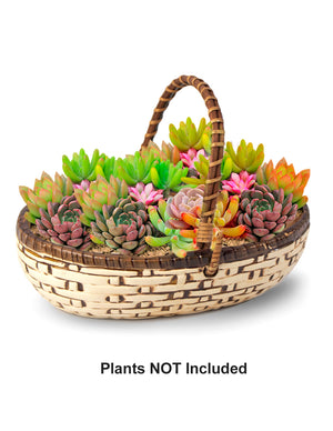  Textured Basket Ceramic Succulent Planter | Plant Pot | Dahlia