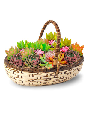  Textured Basket Ceramic Succulent Planter | Plant Pot | Dahlia