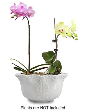  Floral Textured White Porcelain Succulent Planter | Plant Pot Bonsai | Dahlia