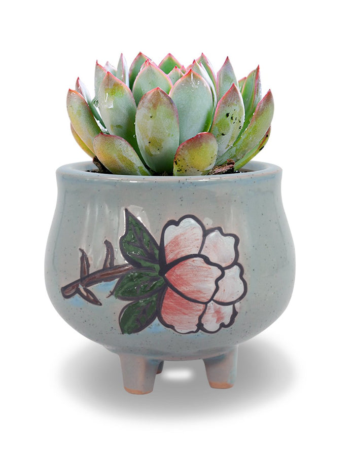 Painted Flower Ceramic Succulent Planter with Foot | Plant Pot | Dahlia