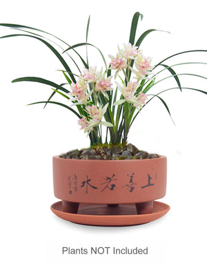  Top Virtue is Like Water Zisha Succulent Pot w Saucer | Plant Pot Bonsai | Dahlia