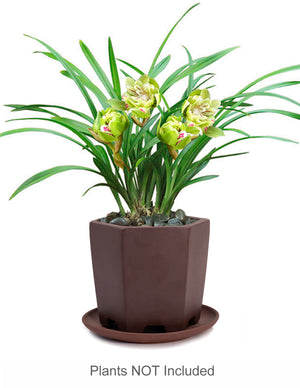  Hexagon Shaped Zisha Bonsai Pot w Saucer Brown | Plant Pot Bonsai | Dahlia
