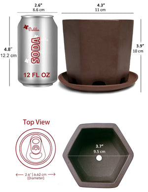  Hexagon Shaped Zisha Bonsai Pot w Saucer Brown | Plant Pot Bonsai | Dahlia