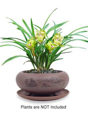 Valley Scene Zisha Succulent Planter with Saucer | Plant Pot | Dahlia