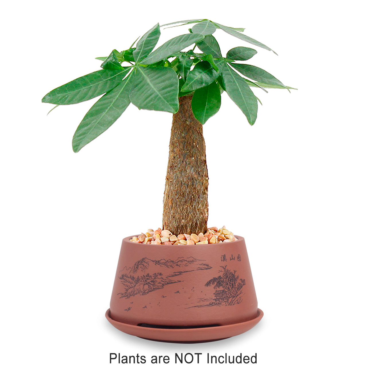brown plant saucer Mountain Top Scene Zisha Succulent Pot w Saucer | Planter