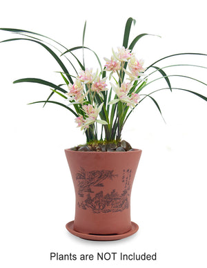  Mountain Home Zisha Succulent Pot w Saucer Brown | Plant Pot Bonsai | Dahlia