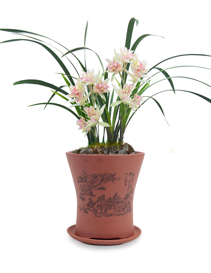 Mountain Home Zisha Succulent Pot (with saucer) - Brown | Planter | Dahlia
