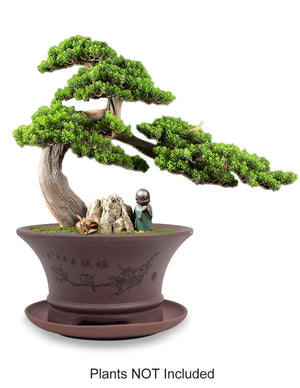  Bird on Branch Zisha Bonsai Pot w Saucer | Plant Pot Bonsai | Dahlia
