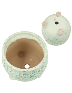  Celadon Glaze Ceramic Succulent Planter | Plant Pot Bonsai | Dahlia