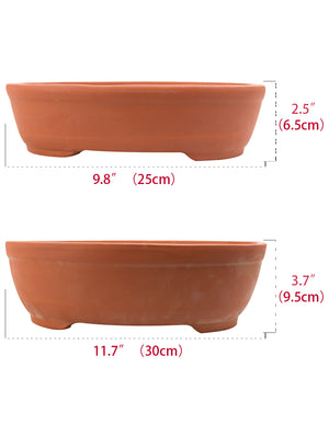  Shallow Oval Zisha Bonsai Pot Set of 2 | Plant Pot | Dahlia