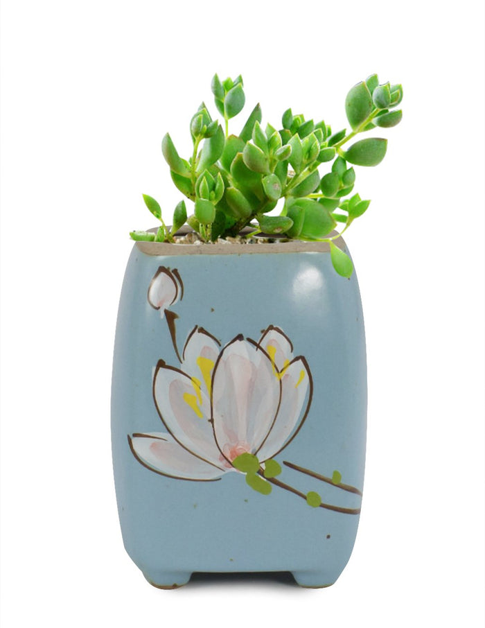 Colorful Hand Painted Flower Ceramic Succulent Planter | Plant Pot | Dahlia
