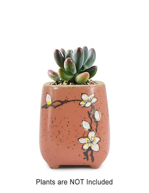  Colorful Hand Painted Flower Ceramic Succulent Planter | Plant Pot Bonsai | Dahlia