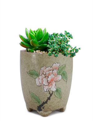 Hand Painted Flower Ceramic Succulent Planter | Plant Pot Bonsai |Dahlia