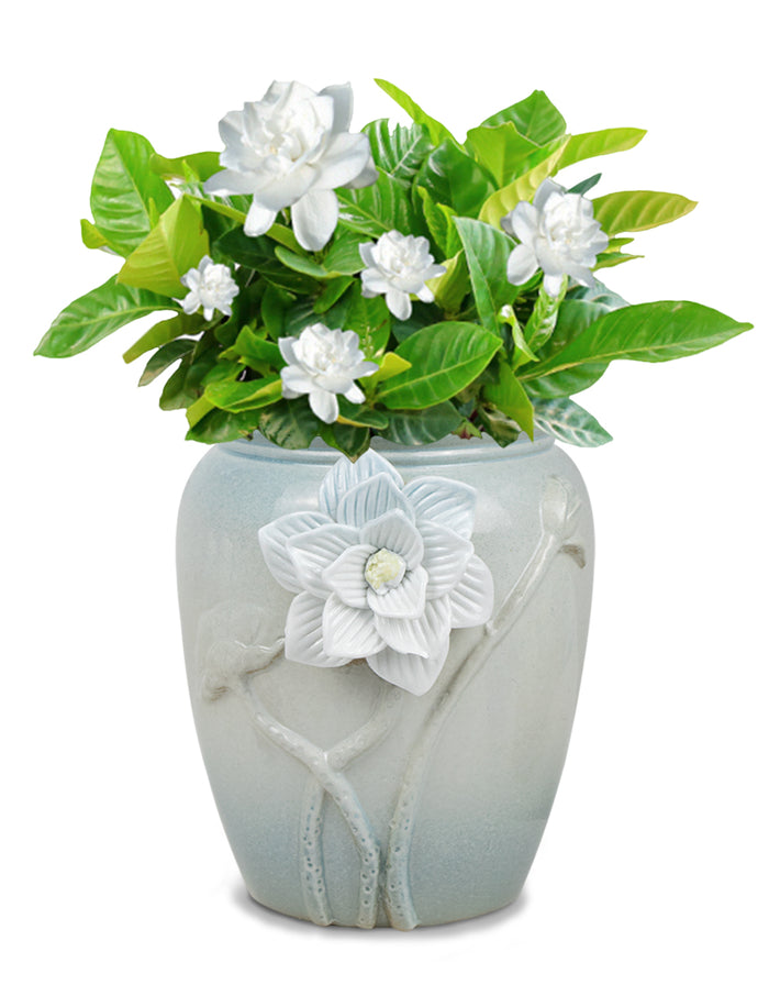 Blue White 3D Flower Ceramic Succulent Planter | Plant Pot | Dahlia