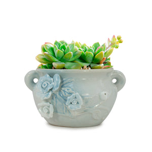  Blue White 3D Flower Ceramic Succulent Planter | Plant Pot Bonsai | Dahlia