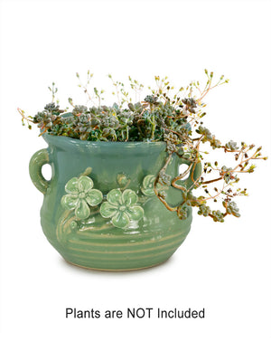  Tri Color Flower Ceramic Succulent Pot | Plant Pot Bonsai | Dahlia