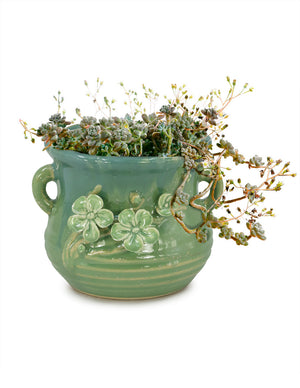  Tri Color Flower Ceramic Succulent Pot | Plant Pot Bonsai | Dahlia