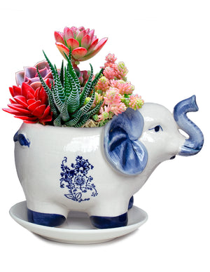 Vintage Ceramic Elephant Succulent Pot | Plant Pot Bonsai | Dahlia