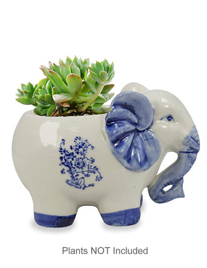  Vintage Ceramic Elephant Succulent Pot | Plant Pot Bonsai | Dahlia