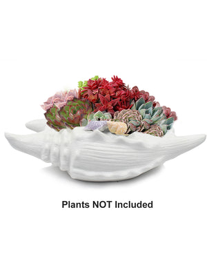 White Seashell Ceramic Succulent Planter | Plant Pot Saucer | Dahlia