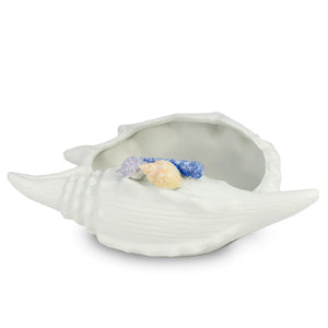 White Seashell Ceramic Succulent Planter | Plant Pot Saucer | Dahlia
