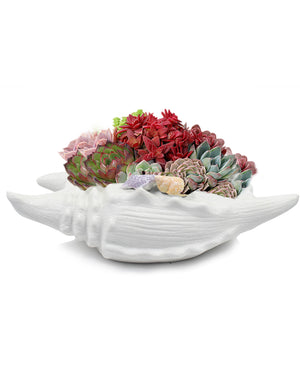 White Seashell Ceramic Succulent Planter | Plant Pot Saucer | Dahlia