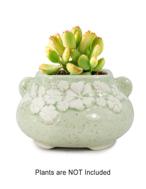  Embossed Floral Green Ceramic Succulent Planter | Plant Pot Bonsai | Dahlia