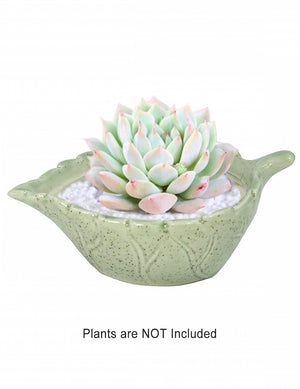  Embossed Floral Green Ceramic Succulent Planter | Plant Pot Bonsai | Dahlia