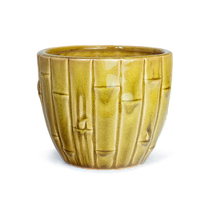 Bamboo Ceramic Succulent Pot 4.5 Inch | Plant Pot Planter Saucer |Dahlia